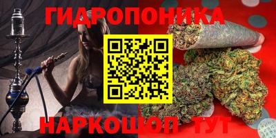 эйфоретик Жуковский