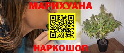 гашик Заводоуковск